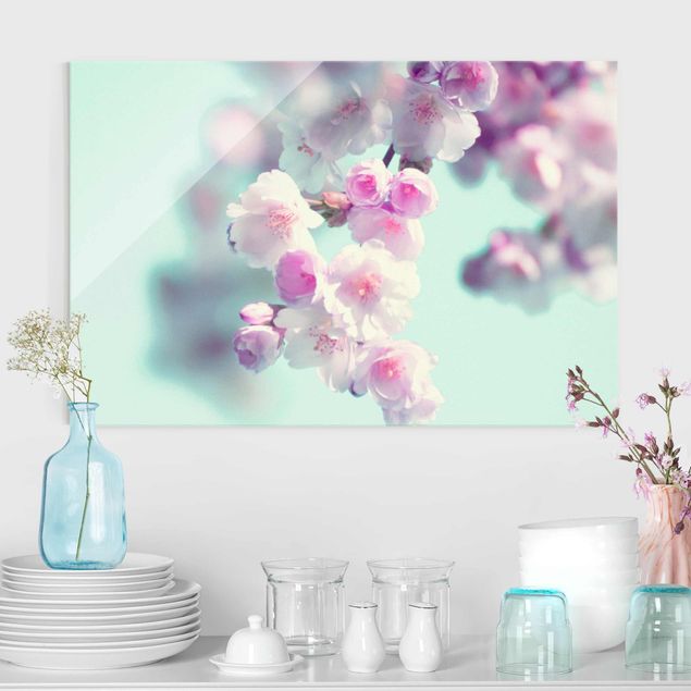decoraçao para parede de cozinha Colourful Cherry Blossoms