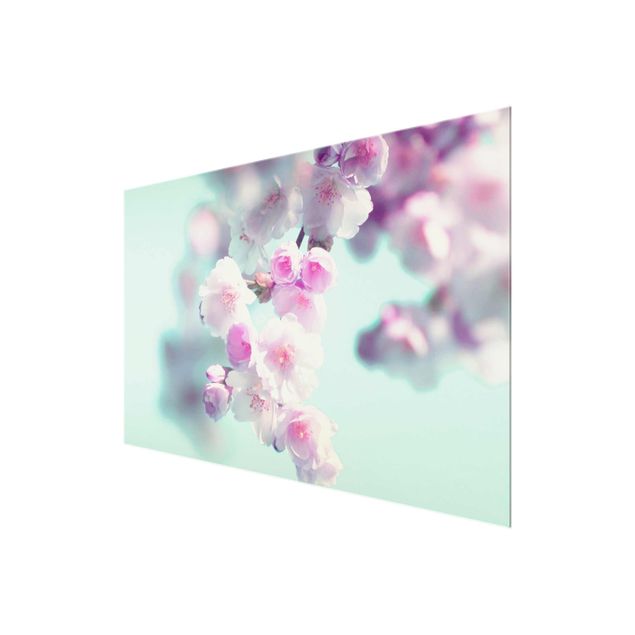 decoração quadros Colourful Cherry Blossoms