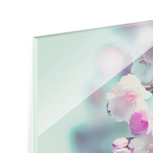 quadro de vidro Colourful Cherry Blossoms