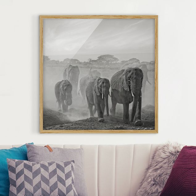 decoraçao para parede de cozinha Herd Of Elephants