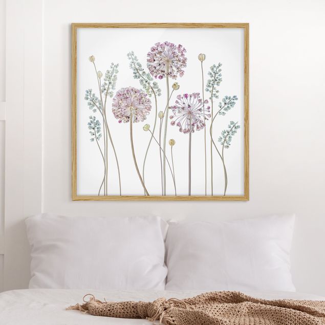 Quadros com moldura flores Allium Illustration