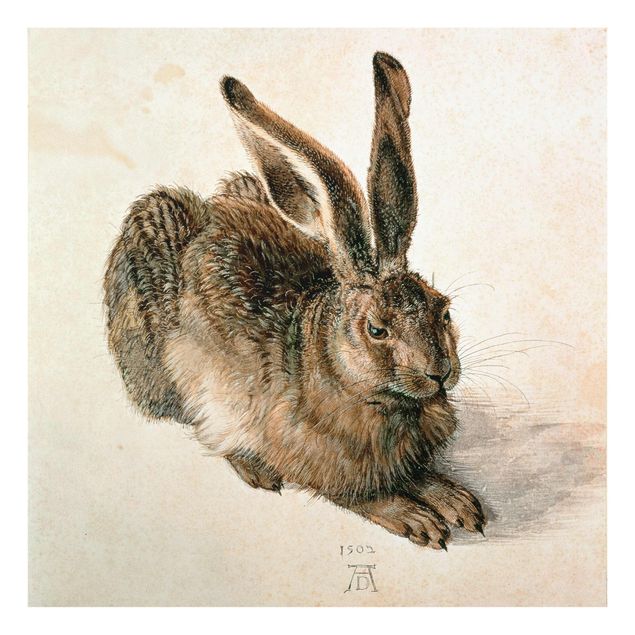 Quadros famosos Albrecht Dürer - Young Hare