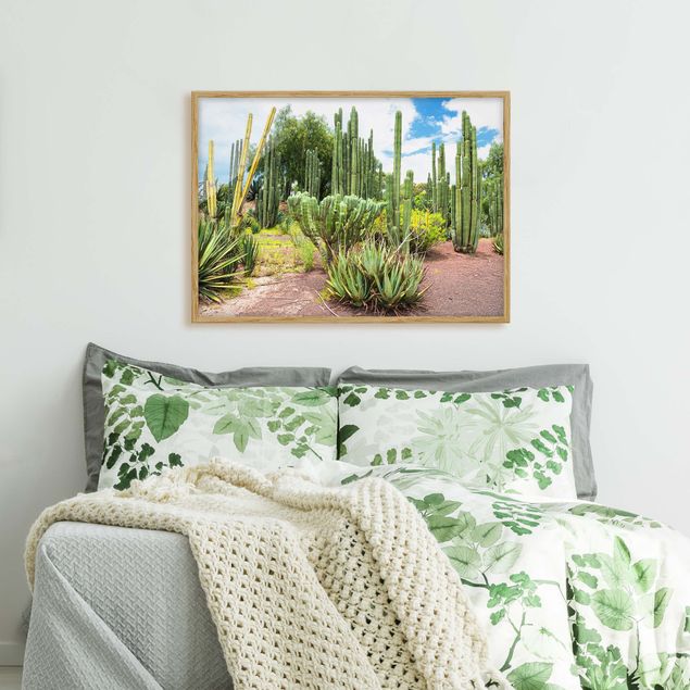 Quadros com moldura flores Cactus Landscape