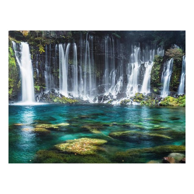 quadro com paisagens Shiraito Waterfall