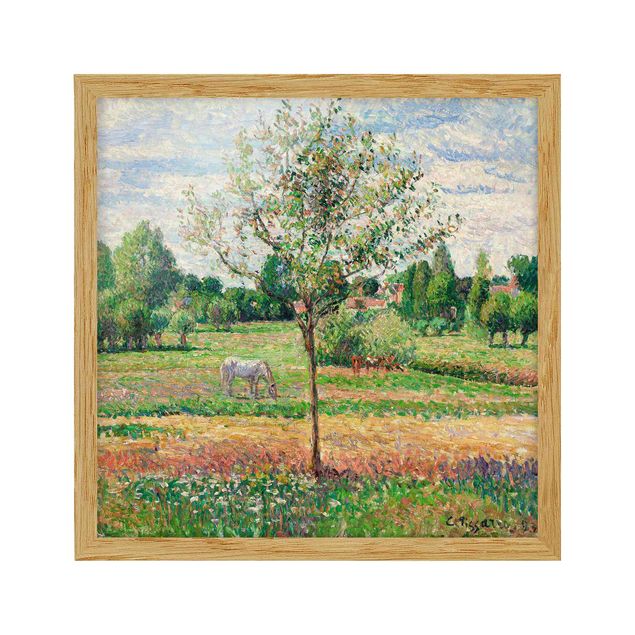 Quadros movimento artístico Romantismo Camille Pissarro - Meadow with Grey Horse, Eragny