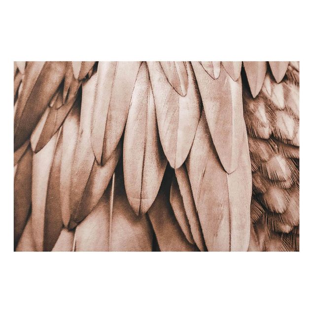 Quadros em marrom Feathers In Rosegold