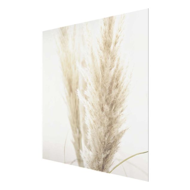 quadro em vidro Soft Pampas Grass