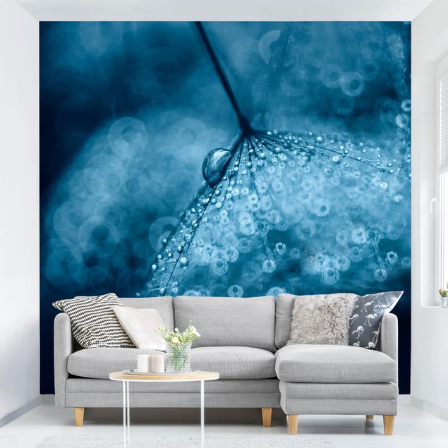 papel de parede moderno para sala Blue Dandelion In The Rain