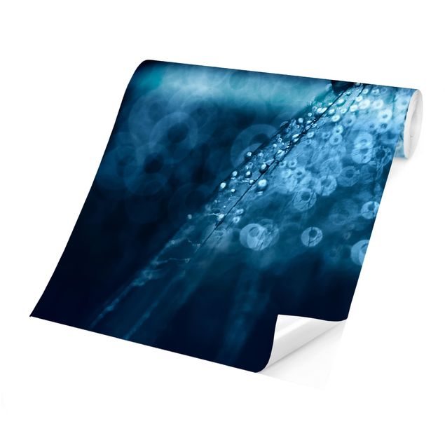 papel de parede com azul Blue Dandelion In The Rain