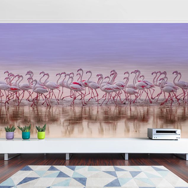 papel de parede moderno para sala Flamingo Party