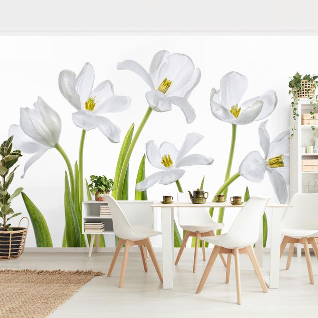 papel de parede para quarto de casal moderno Five White Tulips
