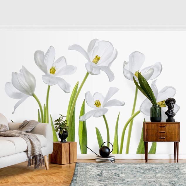 Papel de parede estilo rústico Five White Tulips