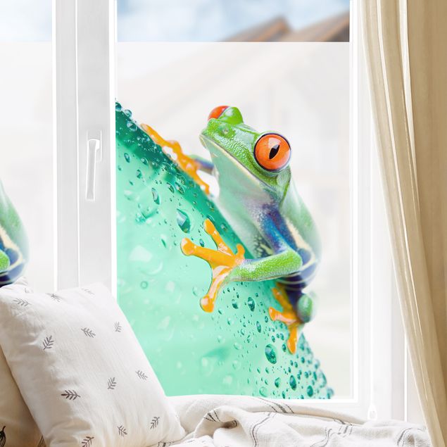 Decoração para quarto infantil Frog