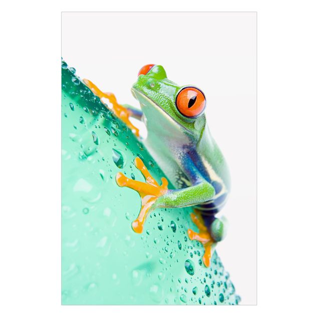 Películas autocolantes Frog