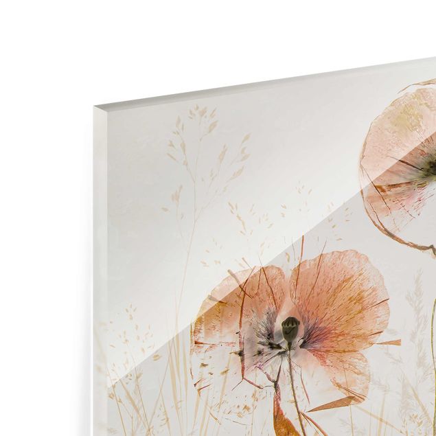 decoração quadros Dried Poppy Flowers With Delicate Grasses