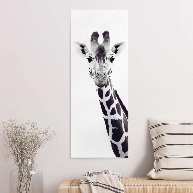 decoraçao cozinha Giraffe Portrait In Black And White