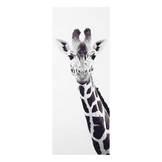 quadros decorativos para sala modernos Giraffe Portrait In Black And White