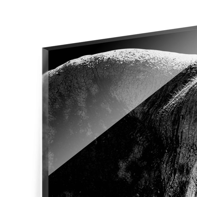 quadro de vidro African Elephant black & white