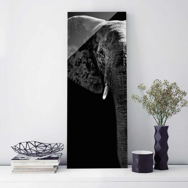 decoraçao para parede de cozinha African Elephant black & white