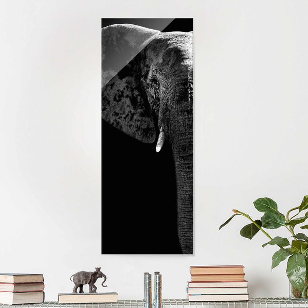 Quadros elefantes African Elephant black & white