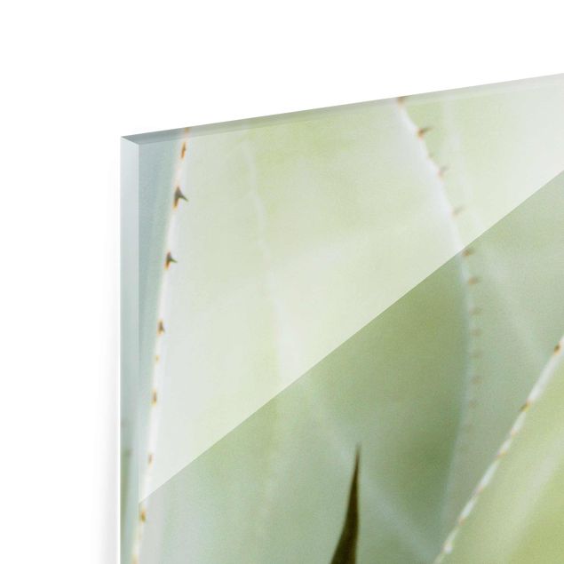 quadro de vidro Aloe