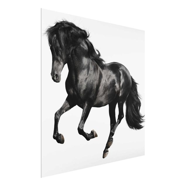 quadros decorativos para sala modernos Arabian Stallion