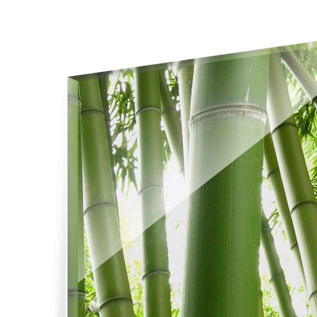 quadros para parede Bamboo Trees No.1