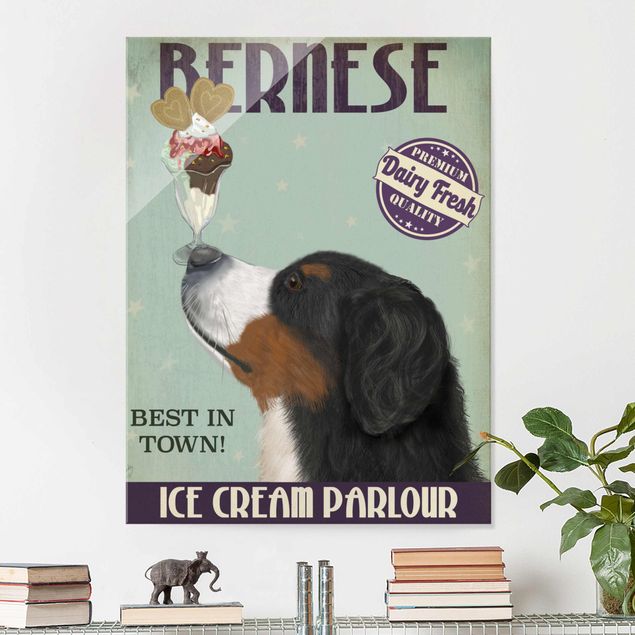 Quadros cães Bernese Mountain Dog With Ice