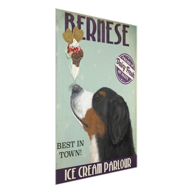 Quadros modernos Bernese Mountain Dog With Ice