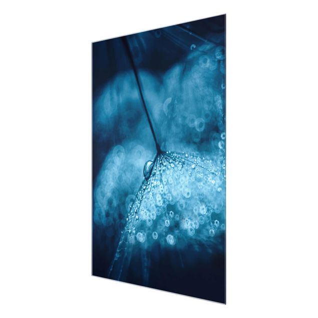 quadro azul Blue Dandelion In The Rain