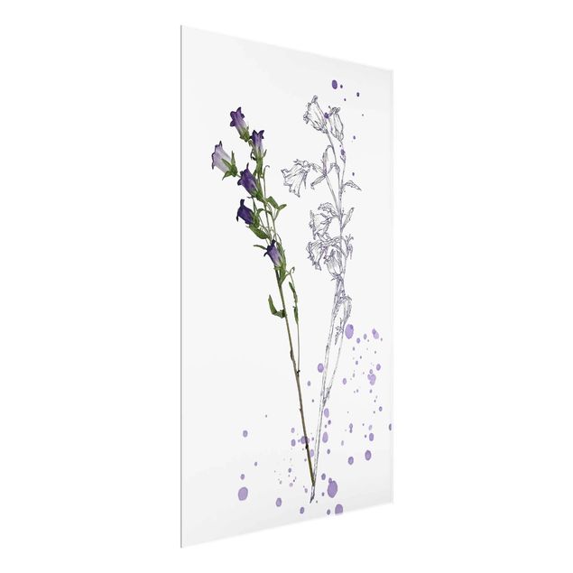 quadros de flores Botanical Watercolour - Bellflower
