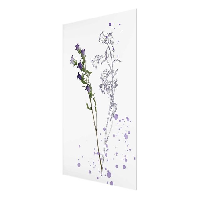 quadro de vidro Botanical Watercolour - Bellflower