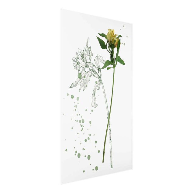 quadros flores Botanical Watercolour - Lily