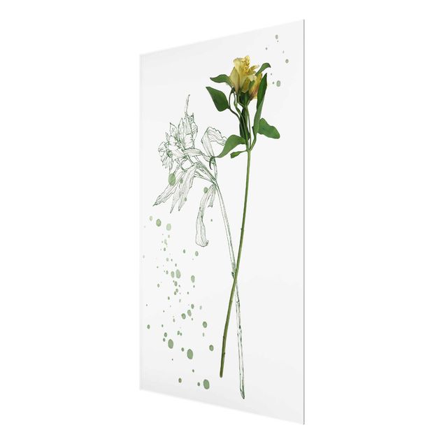 quadro em vidro Botanical Watercolour - Lily