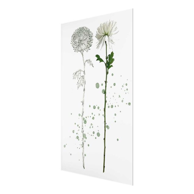 Quadros decorativos Botanical Watercolour - Dandelion