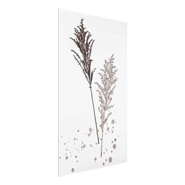 quadro com flores Botanical Watercolour - Fescue Reed