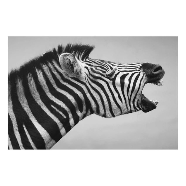 Quadros África Roaring Zebra ll
