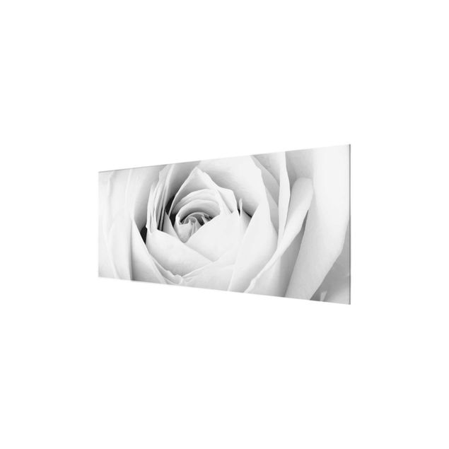 Quadros em vidro em preto e branco Close Up Rose