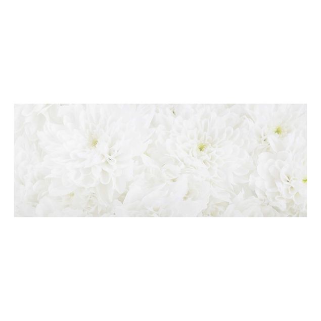 quadro com flores Dahlias Sea Of Flowers White
