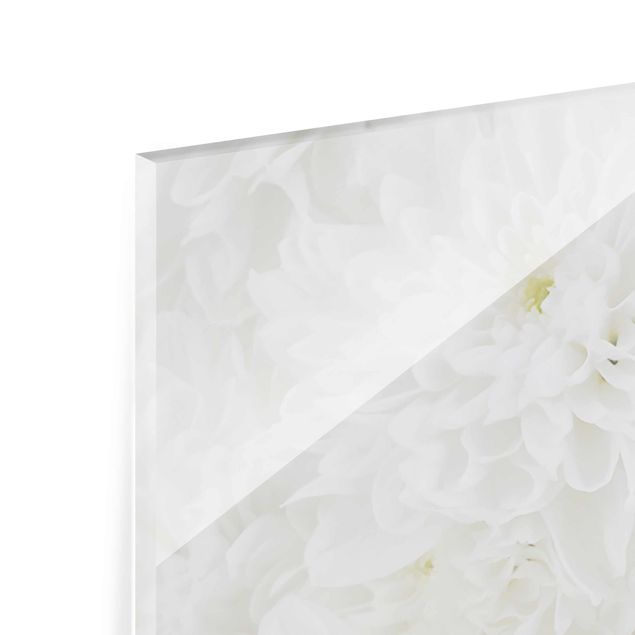 Quadros em vidro Dahlias Sea Of Flowers White