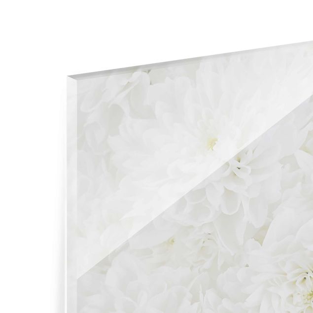Quadros em vidro Dahlias Sea Of Flowers White