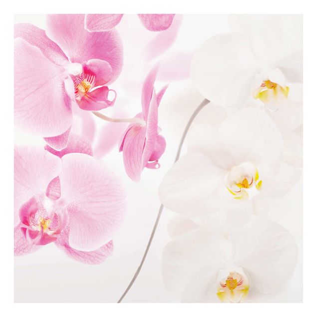 Quadros em vidro flores Delicate Orchids
