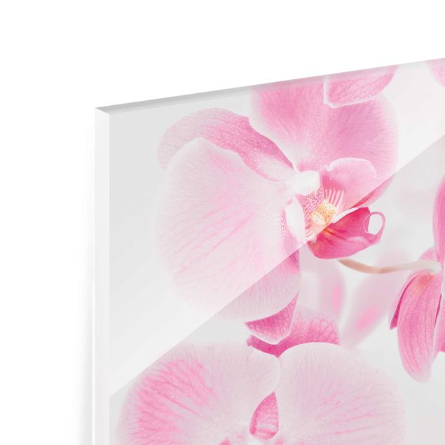 decoração quadros Delicate Orchids