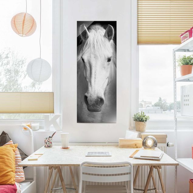 Quadros em vidro em preto e branco Dream Of A Horse