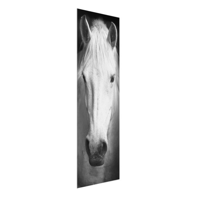 quadros decorativos para sala modernos Dream Of A Horse