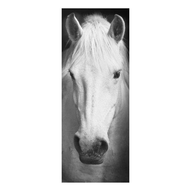 quadros em preto e branco Dream Of A Horse