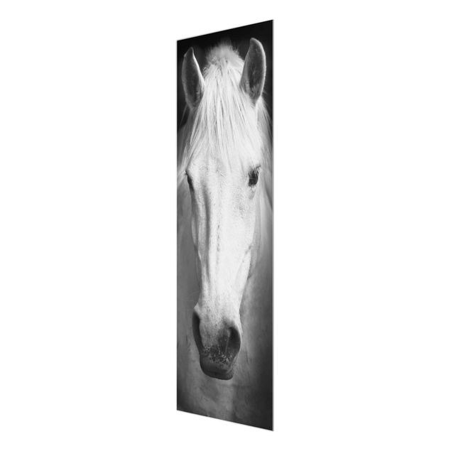 quadros para parede Dream Of A Horse