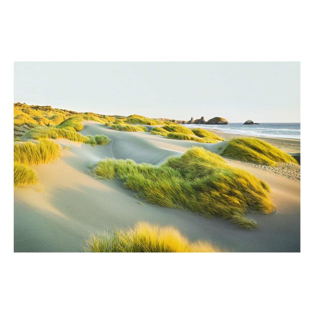 Quadros mar Dunes And Grasses At The Sea