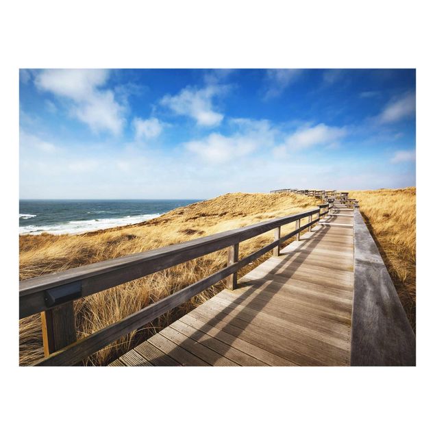 Quadros mar Path between dunes at the North Sea on Sylt
