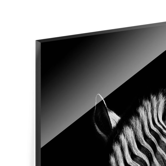 Quadros decorativos Dark Zebra Silhouette